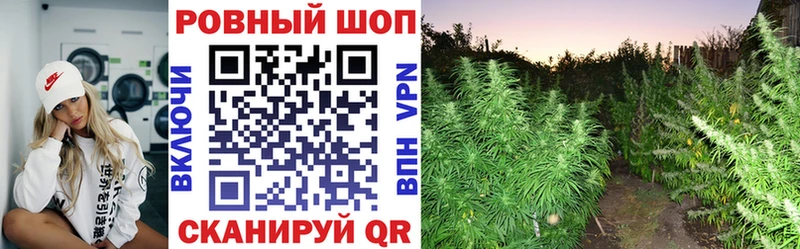 Купить Киреевск Кокаин Alpha PVP OMG tor Гашиш Марихуана