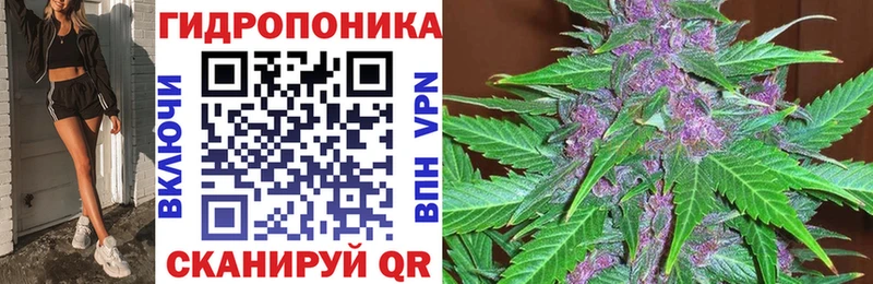 кракен как войти  Киреевск  Марихуана OG Kush  закладка 